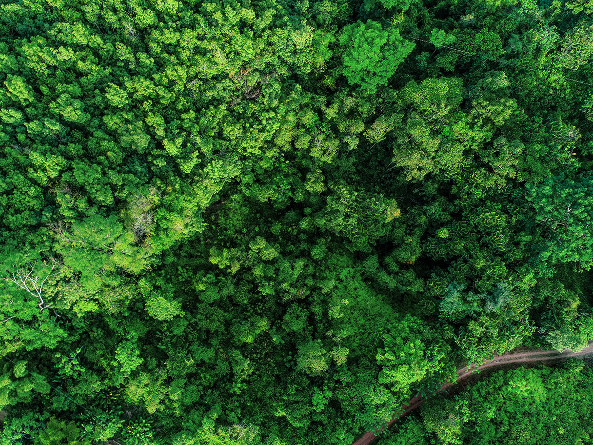 Drone_Caucho