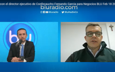 Sector del caucho nació impulsando la sustitución de cultivos ilícitos