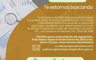Te estamos buscando – Auditoría interna
