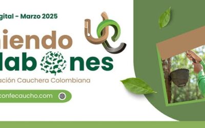 Ya puedes leer el boletín digital «Uniendo Eslabones»