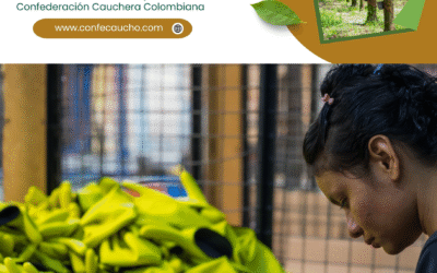 Ya puedes leer la edición del Boletín Digital de abril