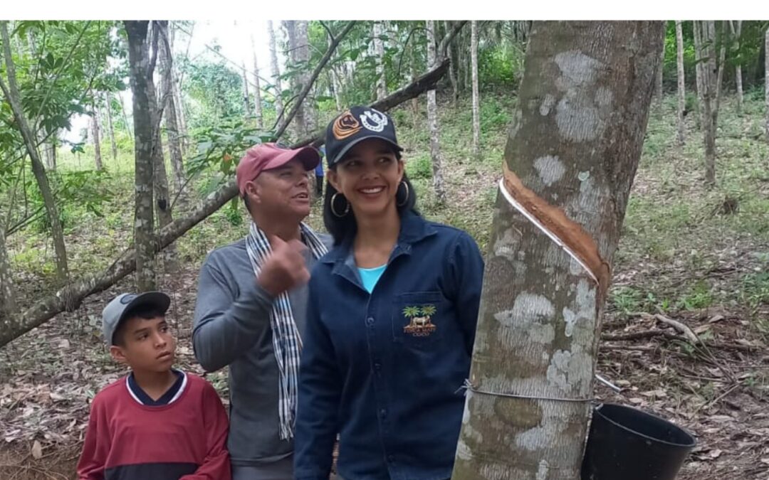 Ya puedes leer la edición No. 8 del Boletín Digital Uniendo Eslabones.