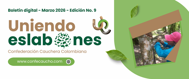 Ya puedes leer la edición No. 9 del Boletín Digital “Uniendo Eslabones”