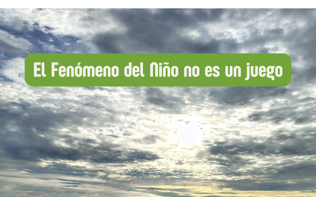 Ya está aquí la edición N° 12 de nuestro boletín digital «Uniendo Eslabones»