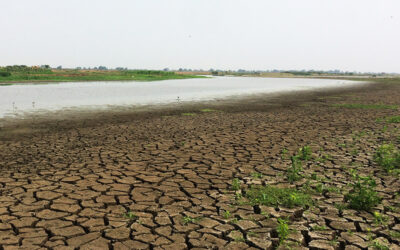 Confecaucho lanza alerta preventiva y exige protocolos de mitigación frente al fenómeno de El Niño