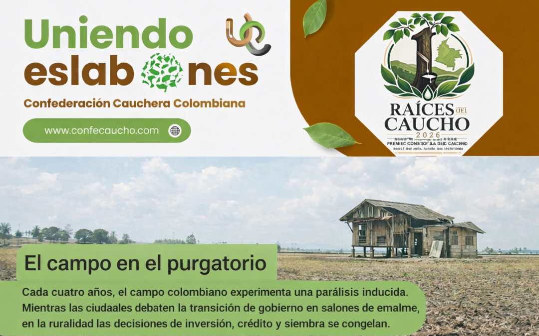 Boletín Uniendo Eslabones No. 13 – Julio 2026