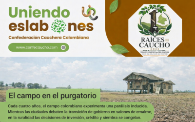 Boletín Uniendo Eslabones No. 13 – Julio 2026