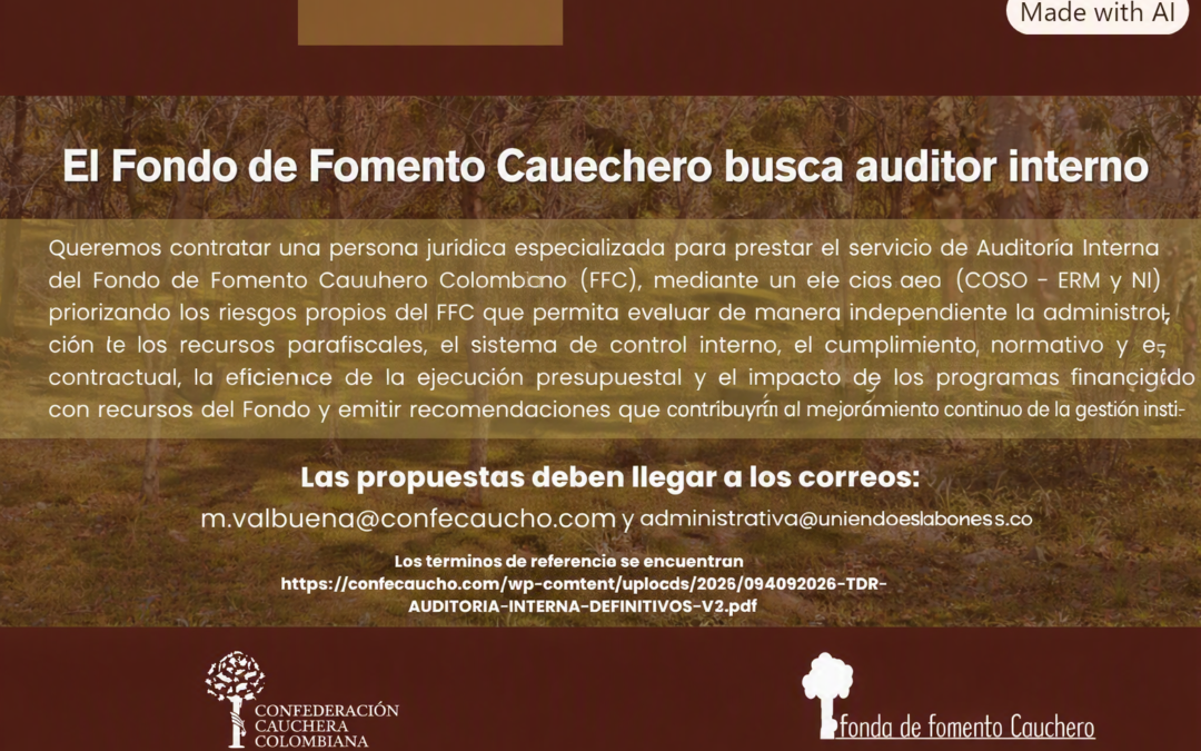 Buscamos auditor interno