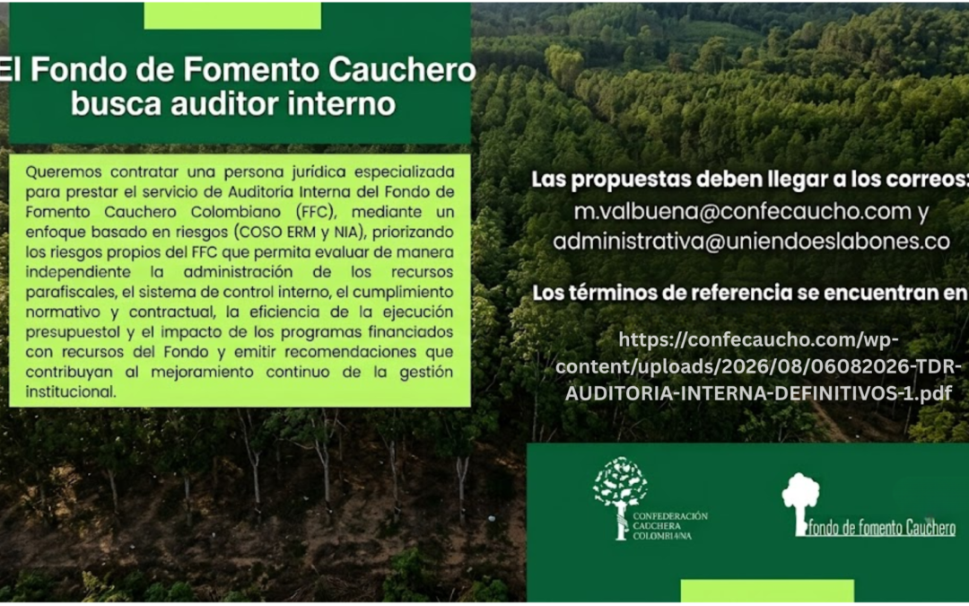Buscamos auditor interno
