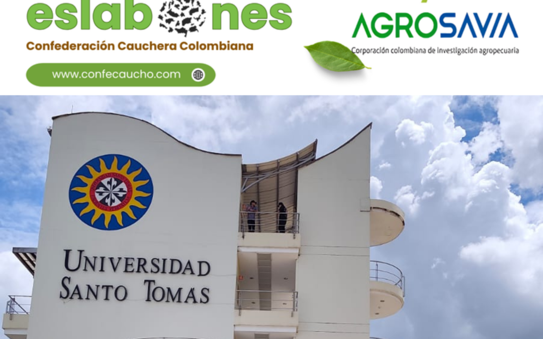 Ya puedes leer la edición de Uniendo Eslabones No. 14