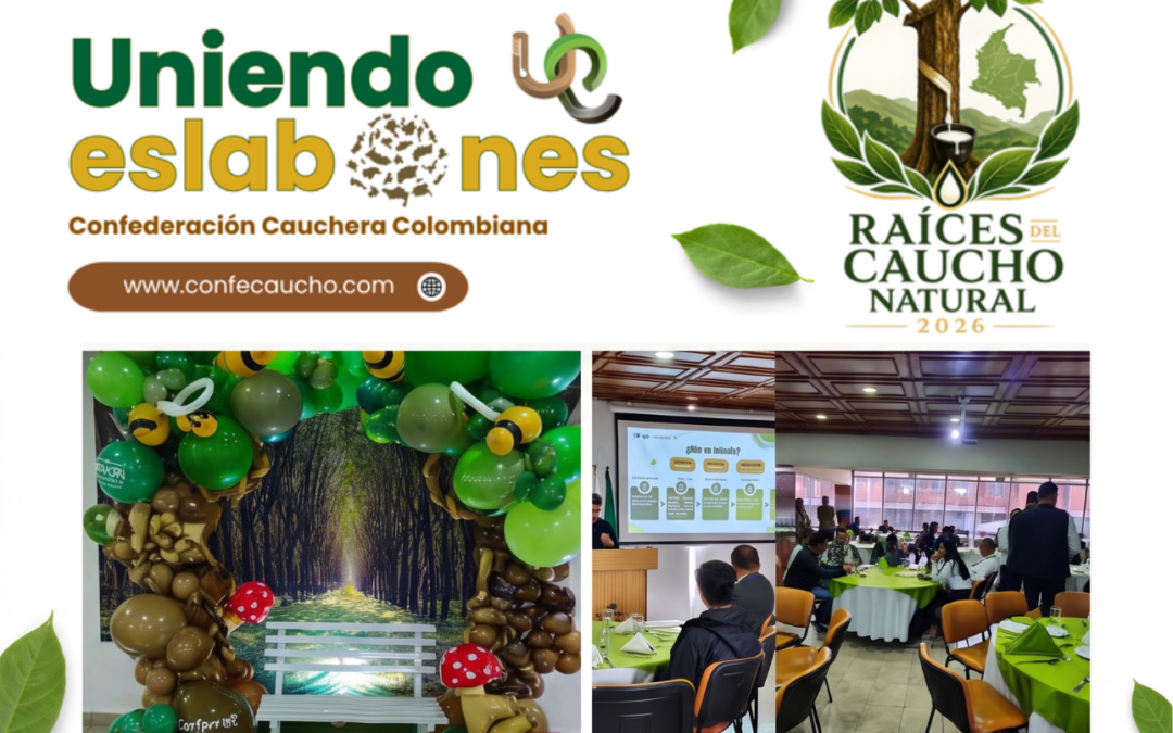 Ya está disponible la Edición No. 15 de nuestro boletín Uniendo Eslabones