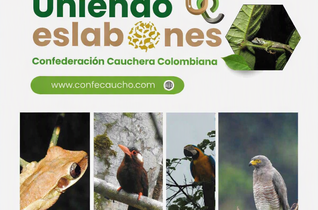 Ya puedes leer la edición No. 16 de Uniendo Eslabones